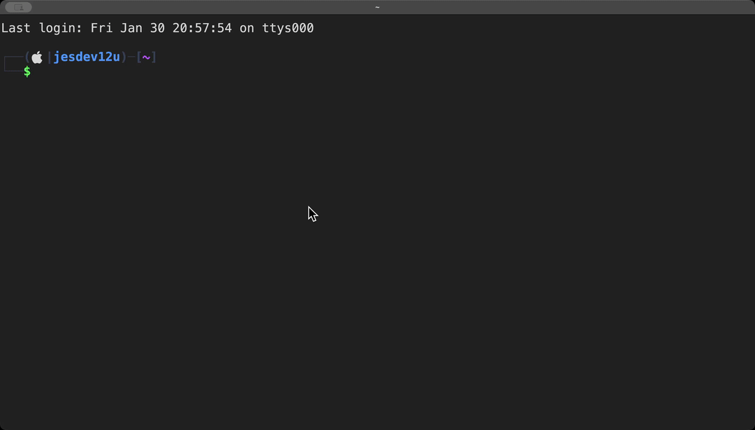 Demostración de terminal personalizada